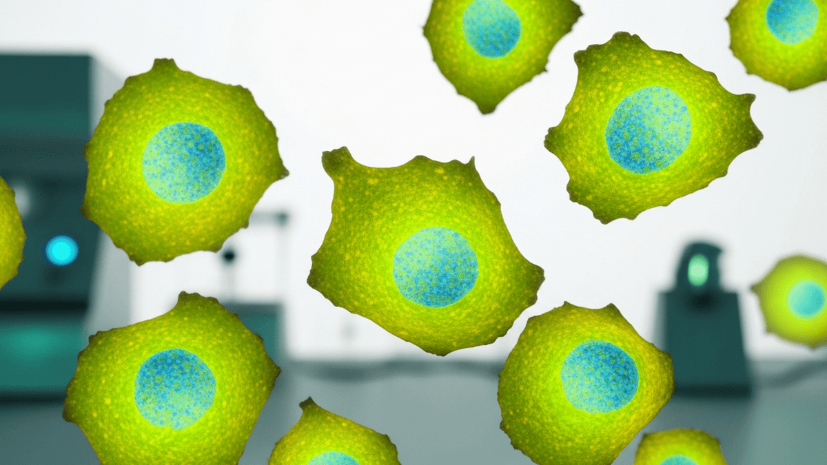 How Machine Learning Transforms Stem Cell Imaging and Analysis for Laboratories